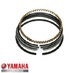 Set segmenti Yamaha YFA Breeze (00-04) - YFM Grizzly 4T 125cc D49.00 (cota standard)